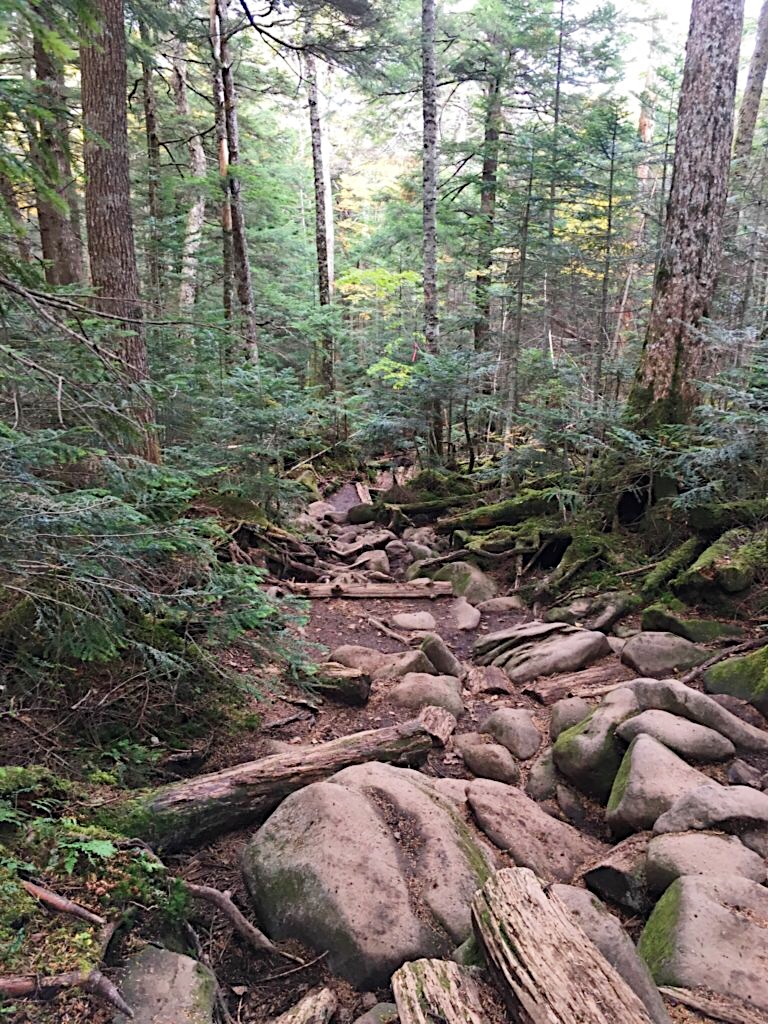 Rugged and rocky path