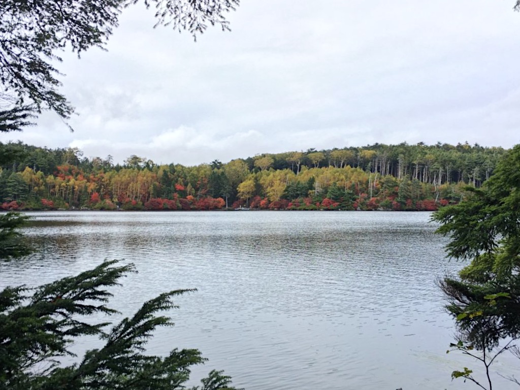 Shirakoma Pond