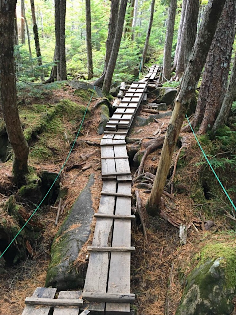 Wooden path