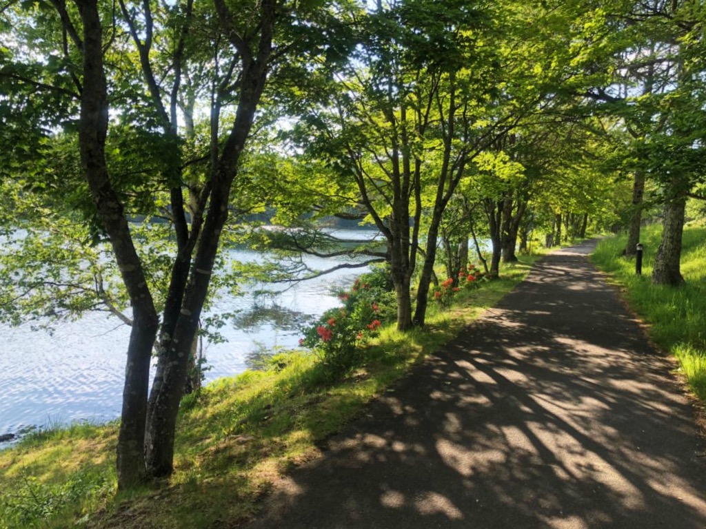 Lakeside walking