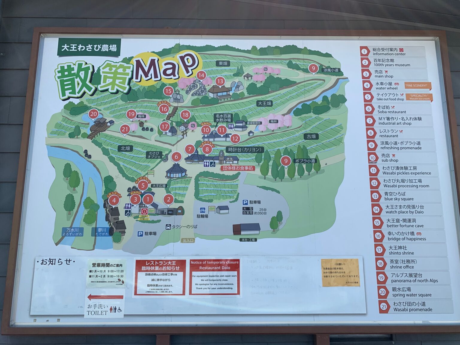 Daio Wasabi Farm｜Japan’s Largest Wasabi Field Highlights and Time