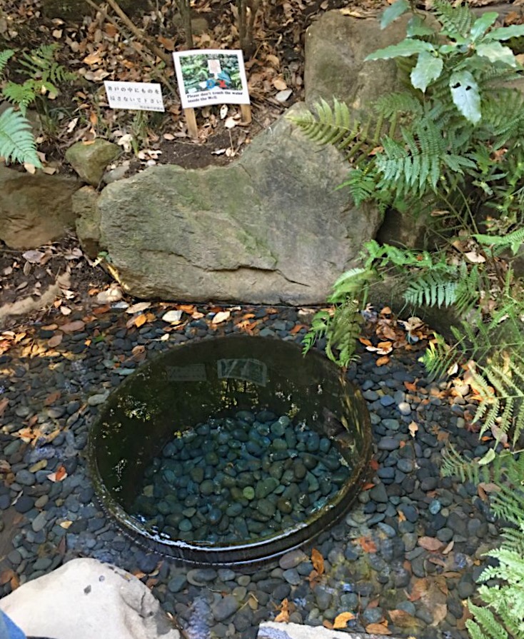 Kiyomasa's Well