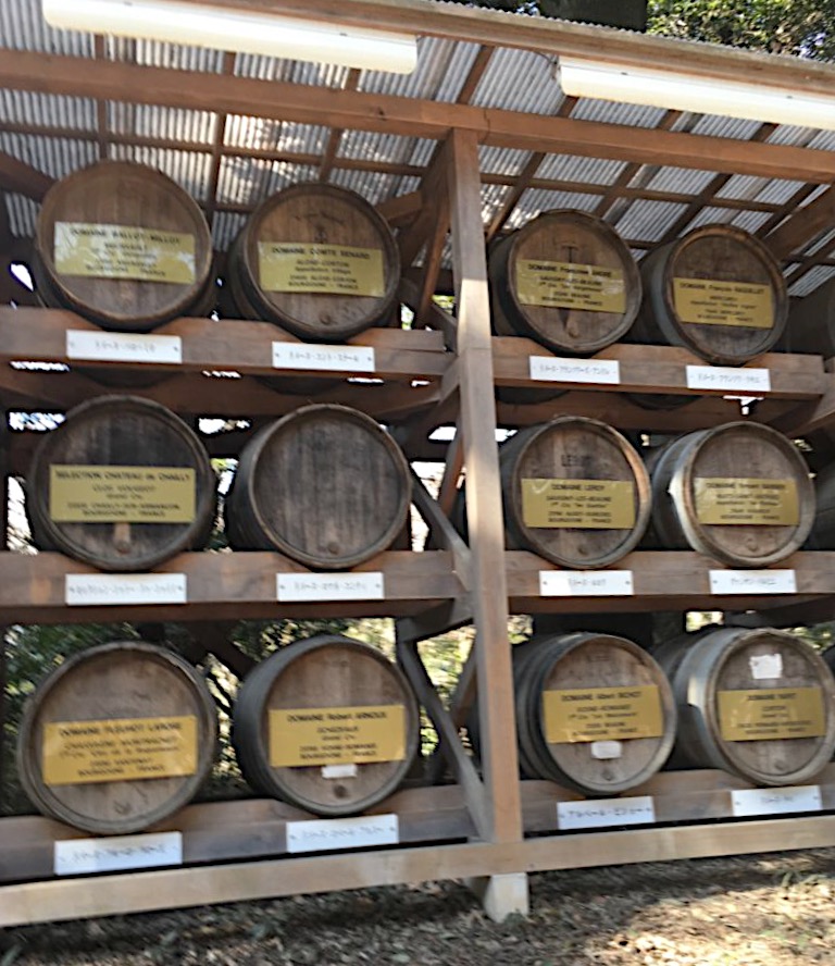 Wine barrels