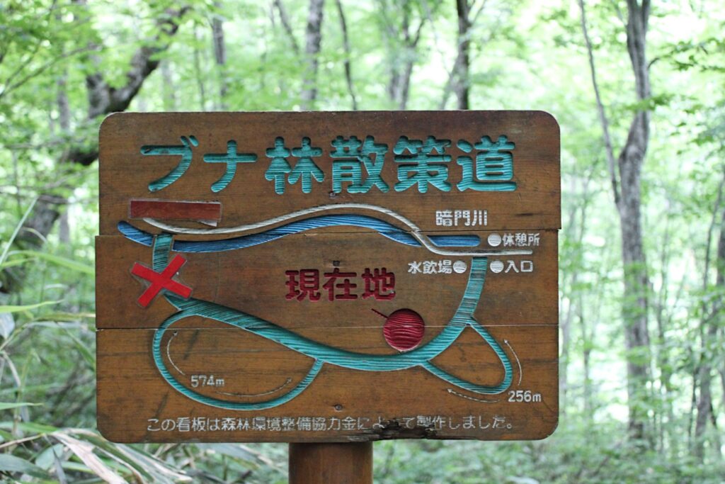Shirakami-trail